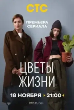 Цветы жизни (2024)