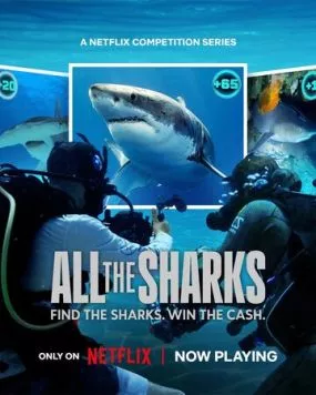 Все акулы / All the Sharks (2025)
