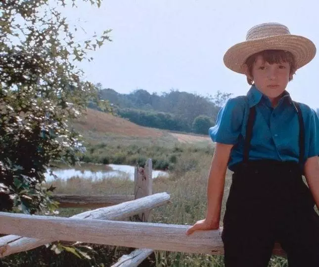 Кадр из Свидетель (1985) Кадр из Свидетель (1985)