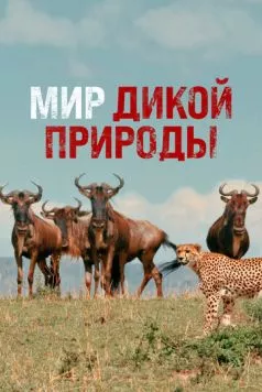 Мир дикой природы (2014)