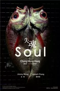 Душа / Shi hun (2013)