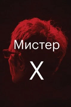 Мистер Икс (2014)