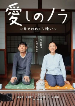Милая бродяжка / Itoshi no Nora, shiawase no meguriai (2017)