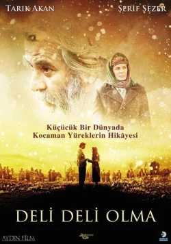 Не сходи с ума / Deli Deli Olma (2009)