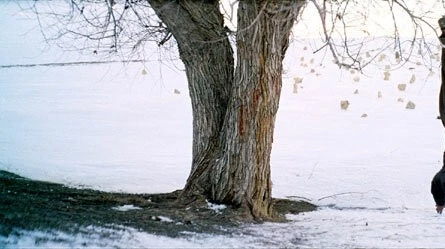Кадр из Полумесяц (2006) Кадр из Полумесяц (2006)