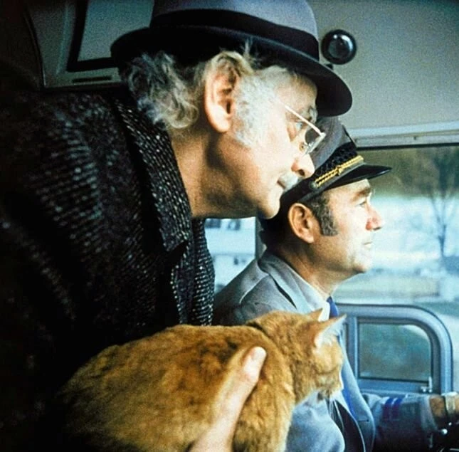 Кадр из Гарри и Тонто (1974) Кадр из Гарри и Тонто (1974)