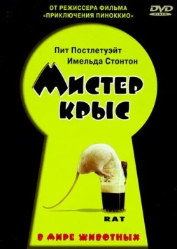 Мистер крыс / Rat (2000)