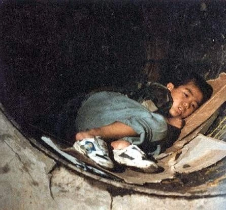 Кадр из Крокодил (1996) Кадр из Крокодил (1996)