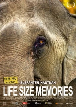 Слоны как они есть / Life Size Memories (2012)