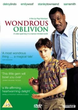 Удивительная забывчивость / Wondrous Oblivion (2003)