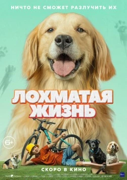 Лохматая жизнь / Алдагдсан өдрүүд (2023)