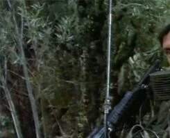 Кадр из Хроники вьетнамской войны (1989) Кадр из Хроники вьетнамской войны (1989)