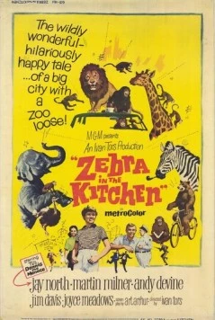 Зебра на кухне / Zebra in the Kitchen (1965)