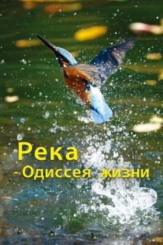 Река - одиссея жизни / The River - Odyssey of Life (2013)