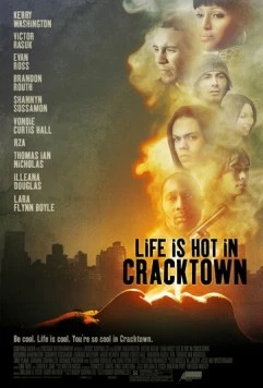 Веселая жизнь в Крэктауне / Life Is Hot in Cracktown (2008)