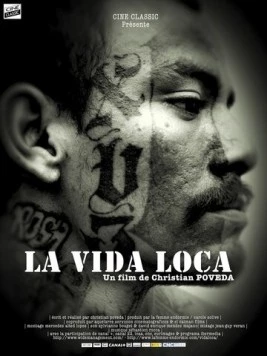 Безумная жизнь / La vida loca (2008)