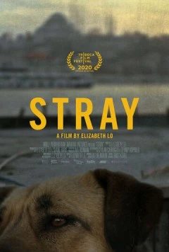 Бродяги / Stray (2020)