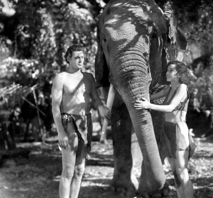 Кадр из Тарзан и его подруга (1934) Кадр из Тарзан и его подруга (1934)
