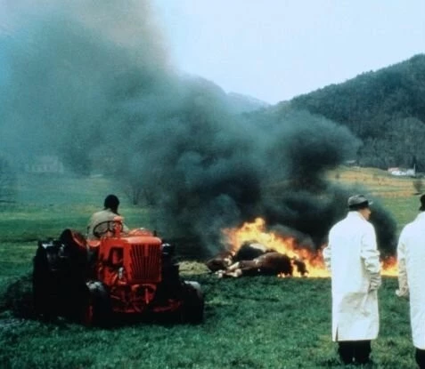 Кадр из Подмастерье убийцы (1988) Кадр из Подмастерье убийцы (1988)