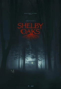 Шелби Оукс. Город-призрак / Shelby Oaks (2024)