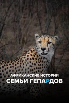 Африканские истории семьи гепардов / Maleika's African Tales (2020)