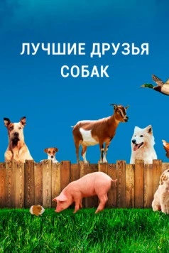 Лучшие друзья собак / Dog's Best Friend (2014)