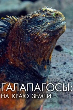 Галапагосы: На краю земли / Galapagos: The Edge of the World (2018)