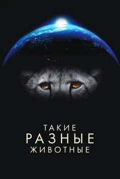 Такие разные животные / Life in the Animal Kingdom (2024)