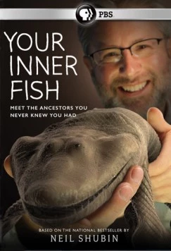 Внутренняя рыба / Der Fisch in uns (2014)