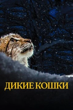 Дикие кошки / Lynx (2021)