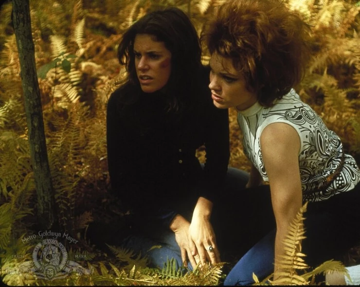 Кадр из Последний дом слева (1972) Кадр из Последний дом слева (1972)