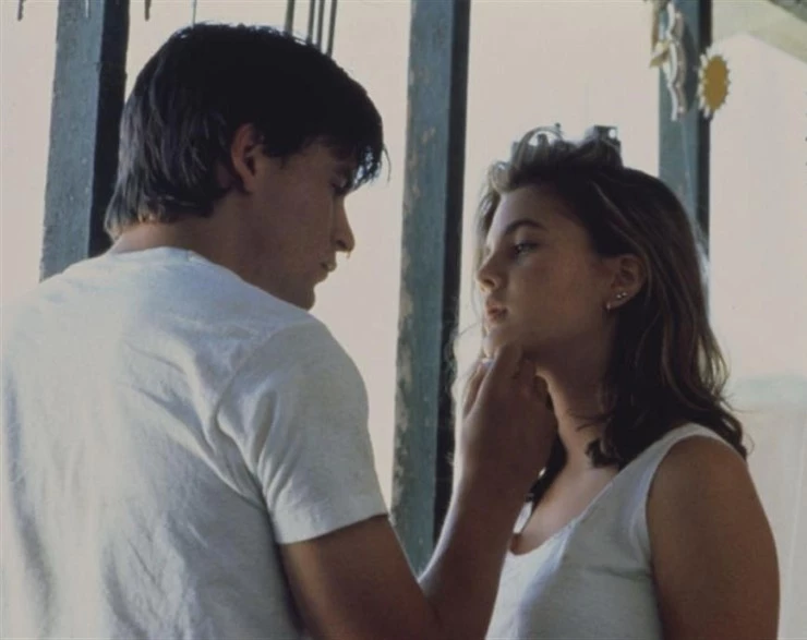 Кадр из Вдали от дома (1989) Кадр из Вдали от дома (1989)