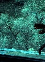 Кадр из Смертельный экспресс (2002) Кадр из Смертельный экспресс (2002)