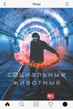 Социальные животные / Social Animals (2018)