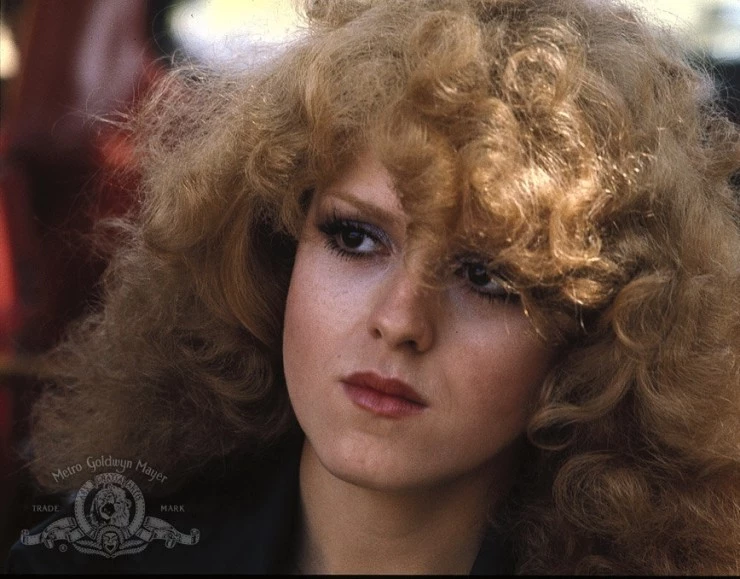 Кадр из Банда защитников (1976) Кадр из Банда защитников (1976)