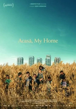 Акаса, мой дом / Acasa, My Home (2020)