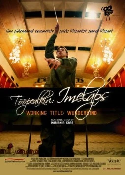 Временно вундеркинд / Tööpealkiri: Imelaps (2012)
