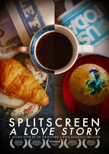 История любви на разделенном экране / Splitscreen: A Love Story (2011)