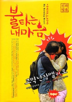 Моё пылающее сердце / Bultaneun nae maeum (2010)