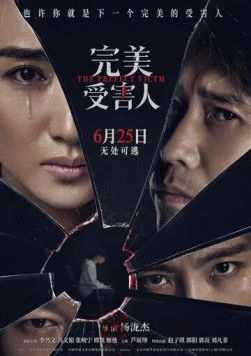 Идеальная жертва / Wan mei shou hai ren (2021)