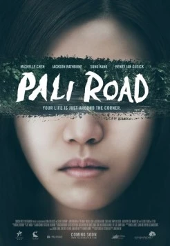 Дорога на Пали / Pali Road (2015)