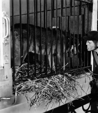 Кадр из Лондонский оборотень (1935) Кадр из Лондонский оборотень (1935)
