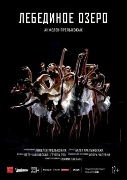 Лебединое озеро / Swan Lake (2020)