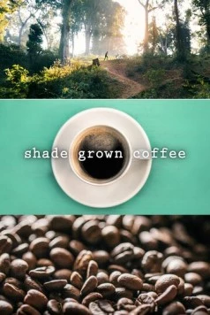 Кофе в тени / Shade Grown Coffee (2020)