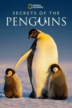 Тайны пингвинов / Secrets of the Penguins (2025)