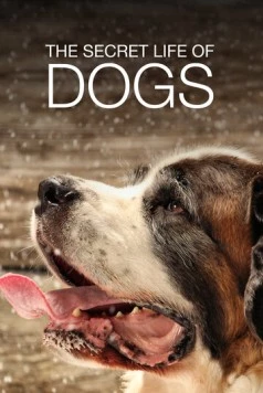 Тайная жизнь собак / Secret Life of Dogs (2017)