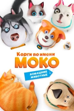 Корги по имени Моко. Домашние животные / Flying MOCO - Pet House (2019)