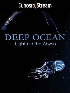 Глубокий океан: Свет в бездне / Deep Ocean: Lights in the Abyss (2016)