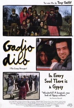Странный чужак / Gadjo dilo (1997)
