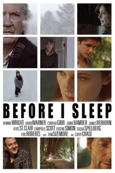 Перед сном / Before I Sleep (2013)